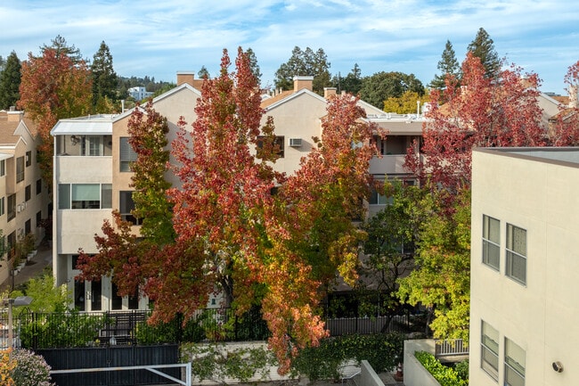 The Heritage Downtown in Walnut Creek, CA - Building Photo - Building Photo