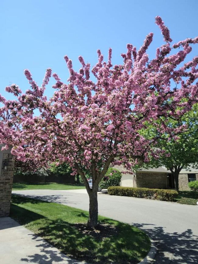 Rolling Hills Apartments in Lapeer, MI - Building Photo - Building Photo