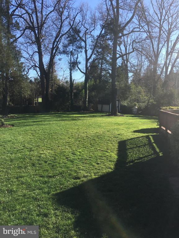 property at 9119 Buckner Rd