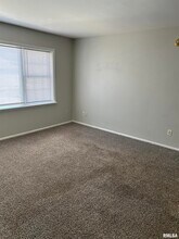 228 E Oak Cliff Ct in Peoria, IL - Foto de edificio - Building Photo