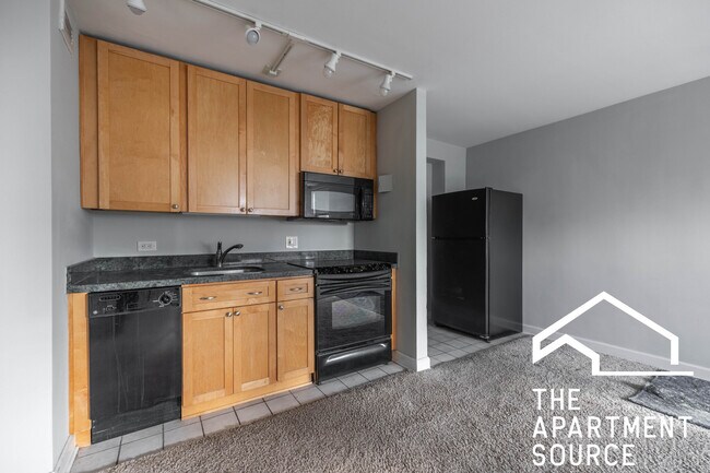 445 W Wellington Ave in Chicago, IL - Building Photo - Building Photo