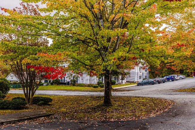585 Franklin Grove Church Rd in Bryson City, NC - Foto de edificio - Building Photo