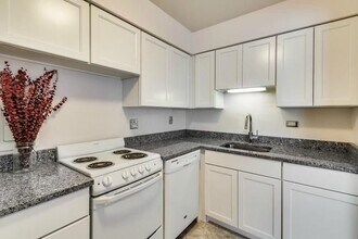 420 W Aldine Ave, Unit 526 in Chicago, IL - Foto de edificio - Building Photo