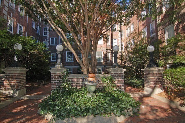41 Linnaean St in Cambridge, MA - Building Photo - Building Photo
