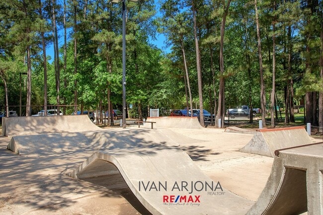 property at 14 Filigree Pines Pl