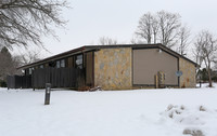 Chelsea Court Apartments in Youngstown, OH - Building Photo - Building Photo