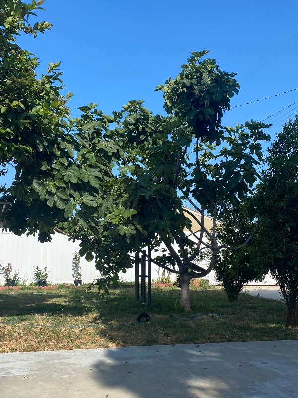 21418 Meyler St in Torrance, CA - Building Photo - Building Photo