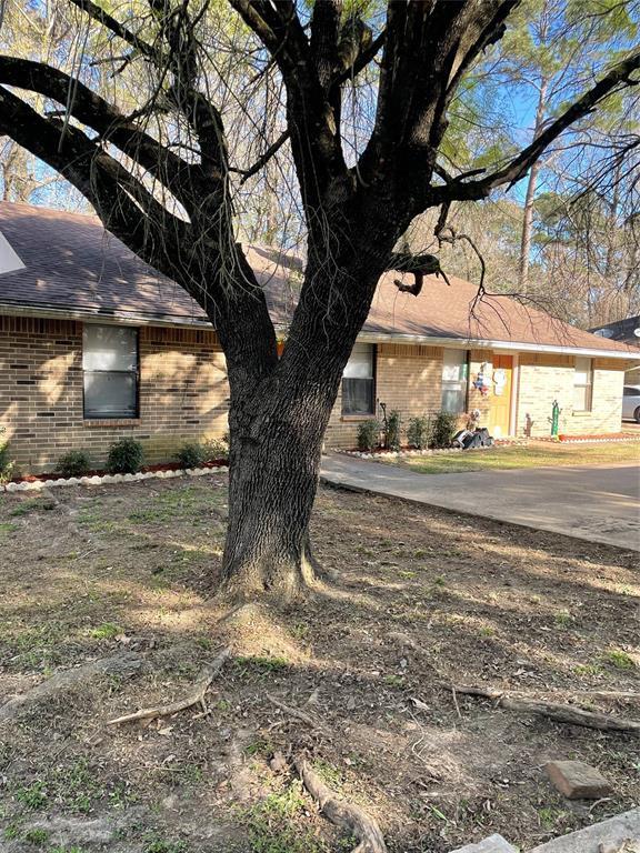 3020 Manor Ln-Unit -B in Huntsville, TX - Building Photo - Building Photo