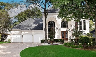 14 Lyric Arbor Cir in Spring, TX - Building Photo