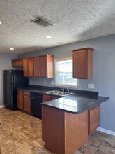 2011 Orlimar Ct in Spring Hill, TN - Building Photo - Building Photo