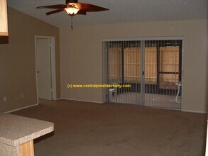 3664 Montclair Dr in Palm Harbor, FL - Building Photo - Building Photo