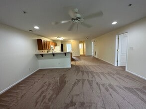 1101 Caitlins Way in Millsboro, DE - Building Photo - Building Photo