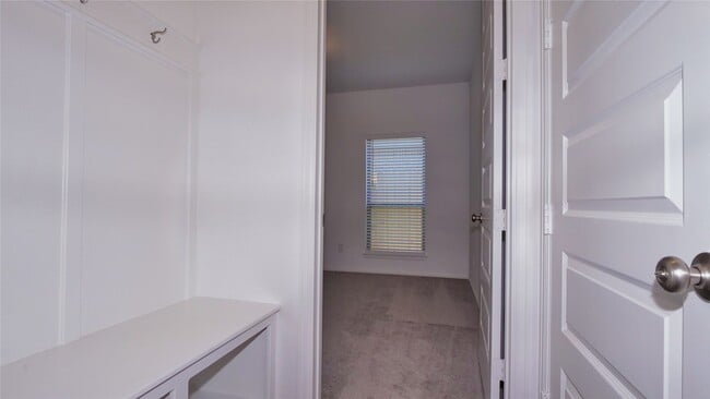 5311 Birch Shadow Dr in Fulshear, TX - Foto de edificio - Building Photo