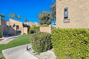 48624 Torrito Ct in Palm Desert, CA - Building Photo - Building Photo