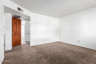 1341 W Shannon St in Chandler, AZ - Building Photo - Building Photo