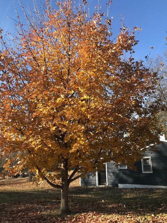 property at 306 S Kirkwood St