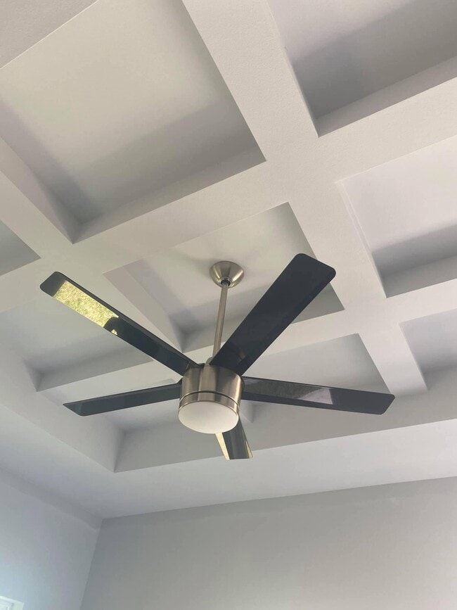 3806 Valeria St in Edinburg, TX - Building Photo - Building Photo