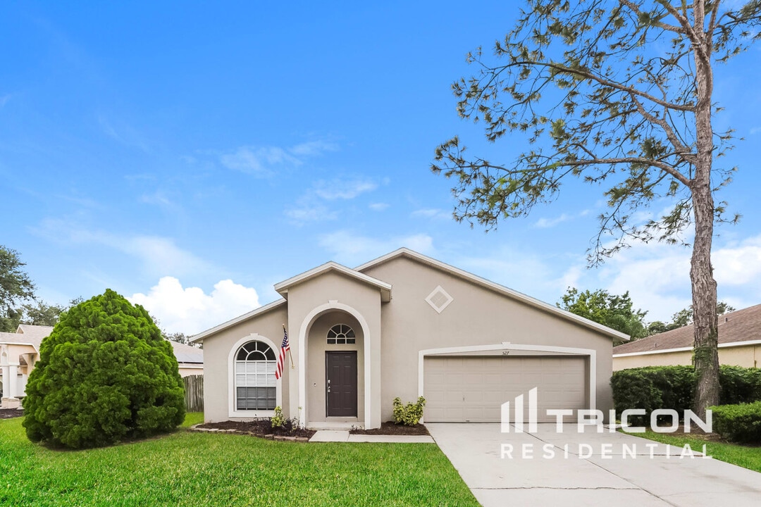 527 Napa Valley Cir in Valrico, FL - Building Photo