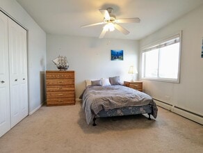 159 E Mill St in Wauconda, IL - Building Photo - Building Photo