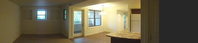 411 E Park St, Unit 202 in Champaign, IL - Building Photo - Building Photo
