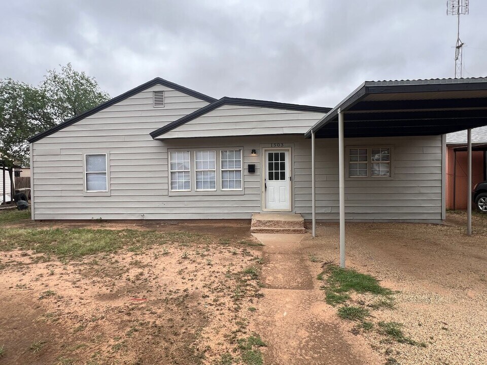 1503 N 13th St in Lamesa, TX - Building Photo