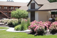 The Willows Apartments in Lincoln, NE - Foto de edificio - Building Photo