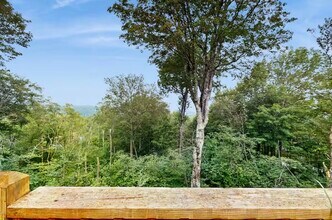1039 Charter Hills Rd in Beech Mountain, NC - Building Photo - Building Photo