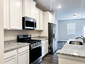 15 Apollo View Ln in Greenville, SC - Building Photo - Building Photo
