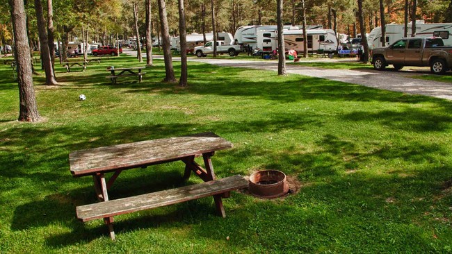 Jellystone Park of Western New York in North Java, NY - Foto de edificio - Building Photo
