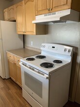 Charter Oak Drive in Flint, MI - Foto de edificio - Building Photo