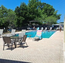 795 Co Rd 1 in Palm Harbor, FL - Building Photo
