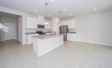 10928 Osprey Glade Ter in Land O Lakes, FL - Building Photo - Building Photo