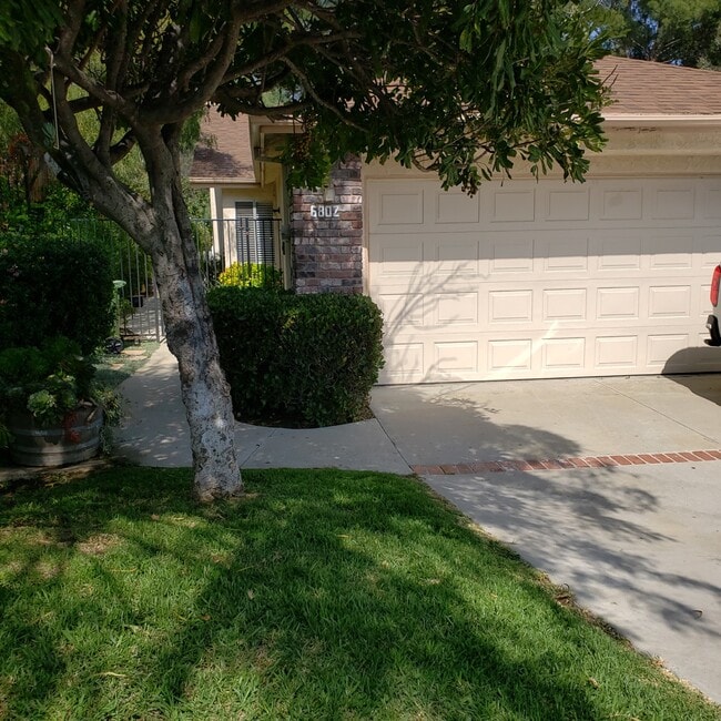 property at 6802 Chapman Pl