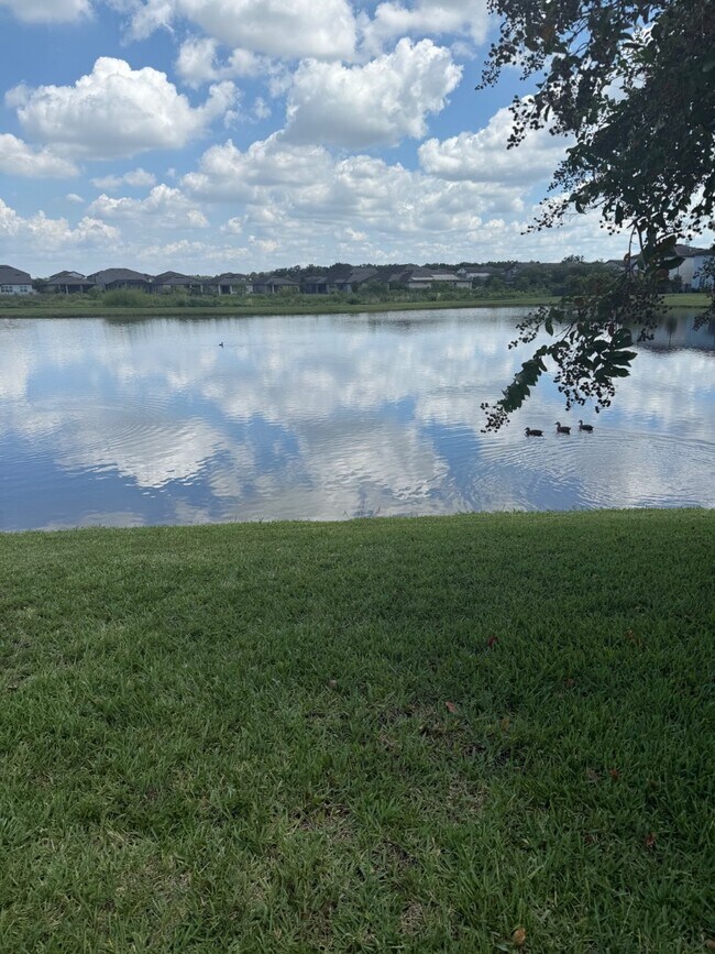 9210 Hillcroft Dr in Riverview, FL - Building Photo - Building Photo