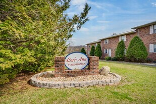 118 Lori Ann Dr in Johnson City, TN - Building Photo