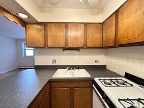 533 W Aldine in Chicago, IL - Building Photo - Building Photo