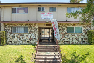 3900 Nicolet Ave in Los Angeles, CA - Building Photo - Building Photo