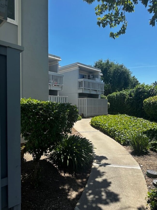 945 Bancroft Rd in Concord, CA - Building Photo - Building Photo