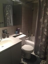 850 N Dewitt Pl in Chicago, IL - Building Photo - Building Photo