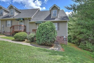803 Cambridgeshire Ct in Johnson City, TN - Building Photo