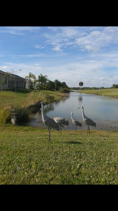 1523 Par Ct in Vero Beach, FL - Building Photo