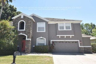 1612 Tawnyberry Ct in Trinity, FL - Building Photo