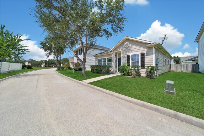11920 Princess Garden Way in Houston, TX - Building Photo - Building Photo