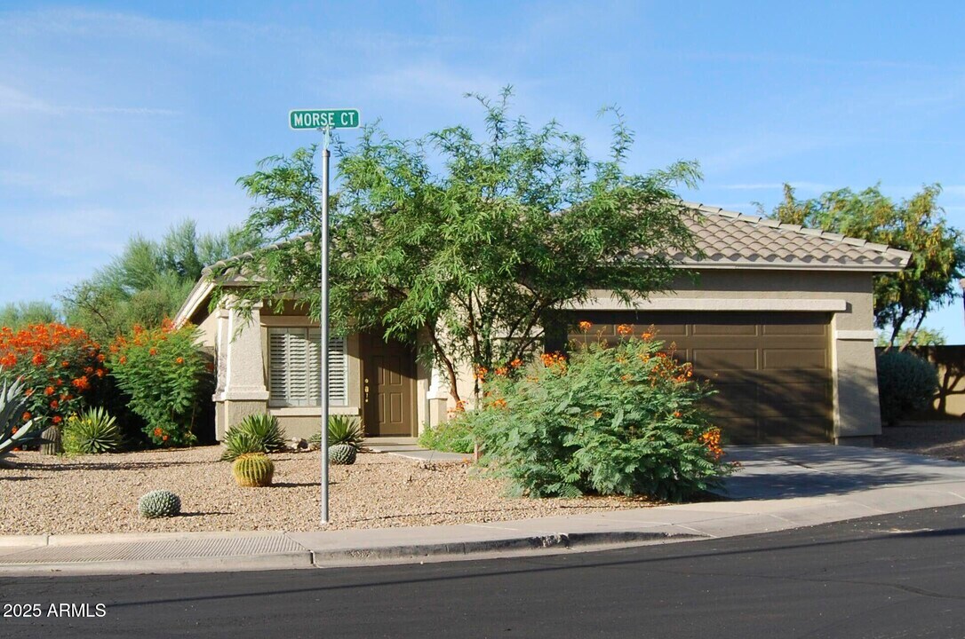 3623 W Morse Ct in Anthem, AZ - Building Photo