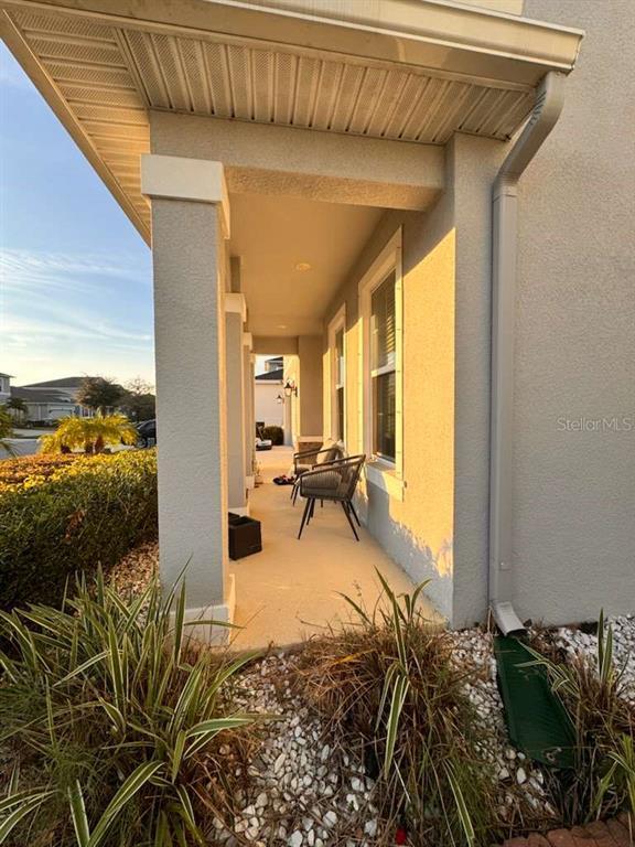 10916 Honor Rd in Citrus Park, FL - Building Photo - Building Photo