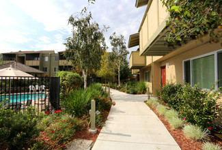 Town House Plaza in Castro Valley, CA - Building Photo - Building Photo