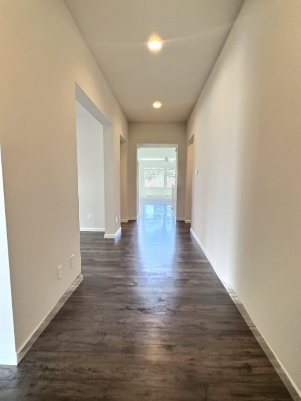 3832 Ghost Dance Dr in Castle Rock, CO - Building Photo - Building Photo