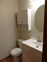 2114 Wyndham Lakes Ct in Plainfield, IL - Foto de edificio - Building Photo