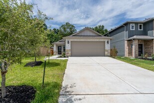 344 Willow Sage Ct in Montgomery, TX - Building Photo