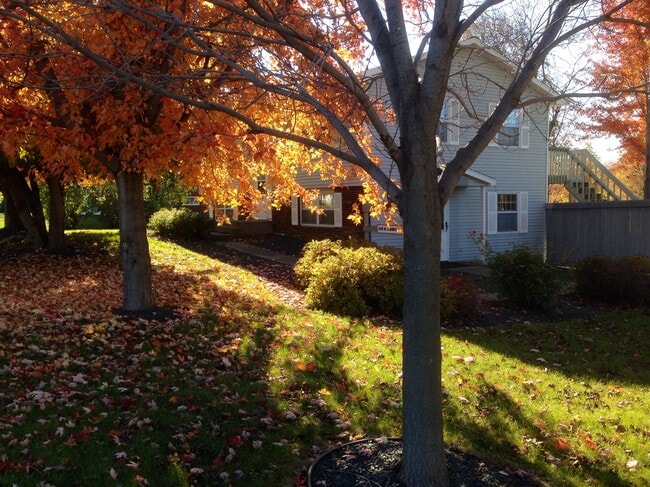 property at 933 Campbell St N